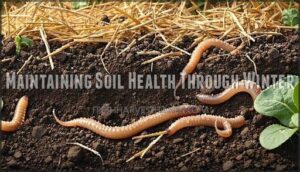 maintaining soil health through winter