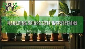 managing spider mite infestations