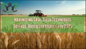 maximizing crop yield techniques