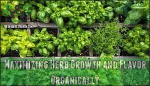 maximizing herb growth and flavor organically