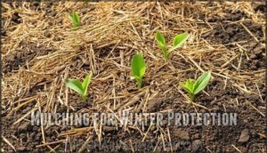 mulching for winter protection
