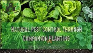 natural pest control through companion planting