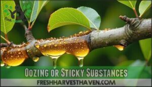 oozing or sticky substances