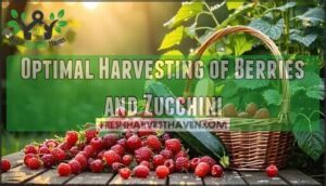 optimal harvesting of berries and zucchini
