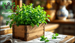 oregano – low-maintenance requirements