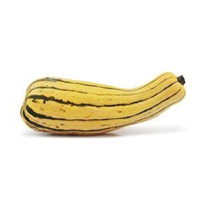 Organic Delicata Squash B07KHH8K4L