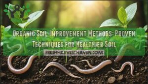 organic soil improvement methods