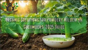 organic solutions for powdery mildew on cucumbers
