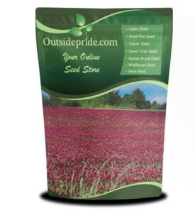 Outsidepride Crimson Clover Seeds   B003ZJNF50