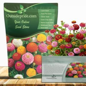 Outsidepride Zinnia Seeds   1000 B006HI4RVC