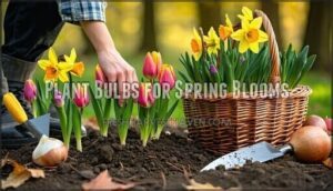 plant bulbs for spring blooms