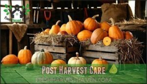 post harvest care