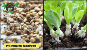 pre-emergence vs. post-emergence signs