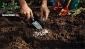 preparing soil and planting site
