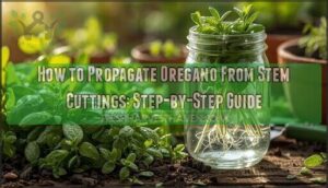propagate oregano from stem cuttings propagate oregano from stem cuttings