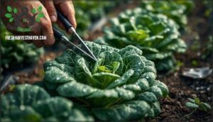 proper cutting techniques for vegetables