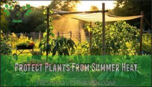 protect plants from summer heat protect plants from summer heat