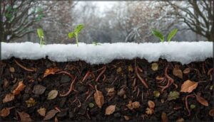protecting and regenerating winter soil protecting and regenerating winter soil