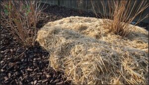 protecting soil during dormancy
