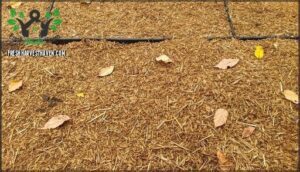 protecting soil from winter damage