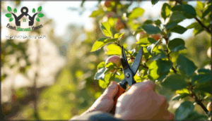 pruning and seasonal care for fruit trees