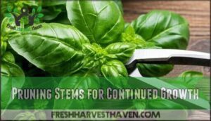 pruning stems for continued growth