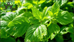 recognizing signs of pest damage