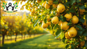 recommended cold hardy pear trees