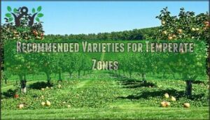 recommended varieties for temperate zones