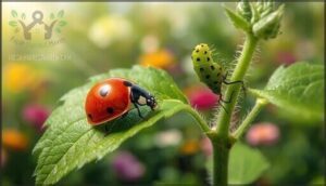 recruit beneficial insects as natural predators