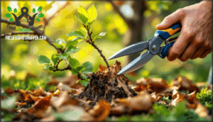 removing dead or diseased branches