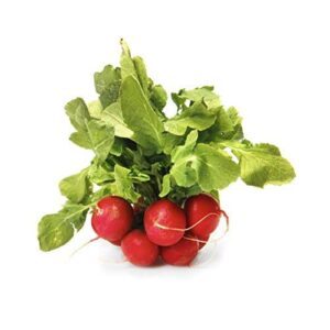 Root Radish Red Organic, 1 B07CHNV4S1