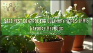 safe pest control for culinary herbs