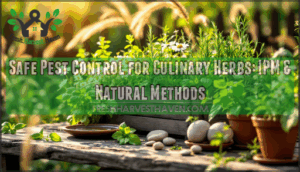 safe pest control for culinary herbs