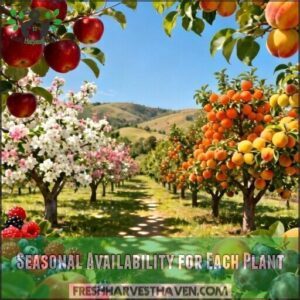 seasonal availability for each plant seasonal availability for each plant