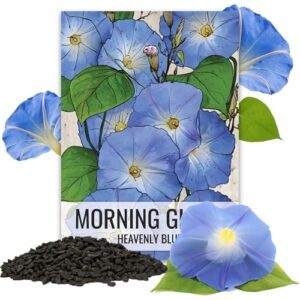 Seed Needs Heavenly Blue Morning B01802PSLU