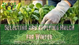 selecting and applying mulch for winter