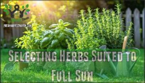 selecting herbs suited to full sun