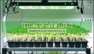 setting up grow lights