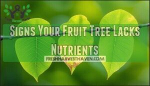 signs your fruit tree lacks nutrients
