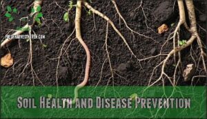 soil health and disease prevention