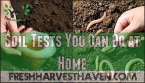 soil tests you can do at home