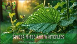 spider mites and whiteflies