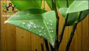 spotting signs of pest infestations