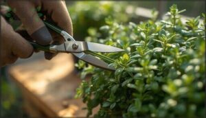 step-by-step cutting instructions