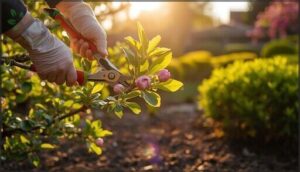 step-by-step pruning methods