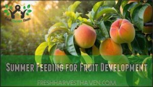 summer feeding for fruit development