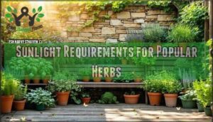 sunlight requirements for popular herbs