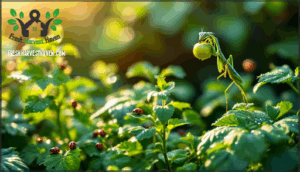 sustainable garden maintenance practices sustainable garden maintenance practices