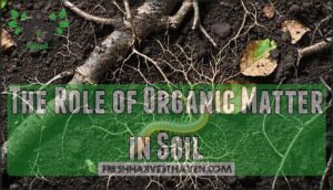 the role of organic matter in soil